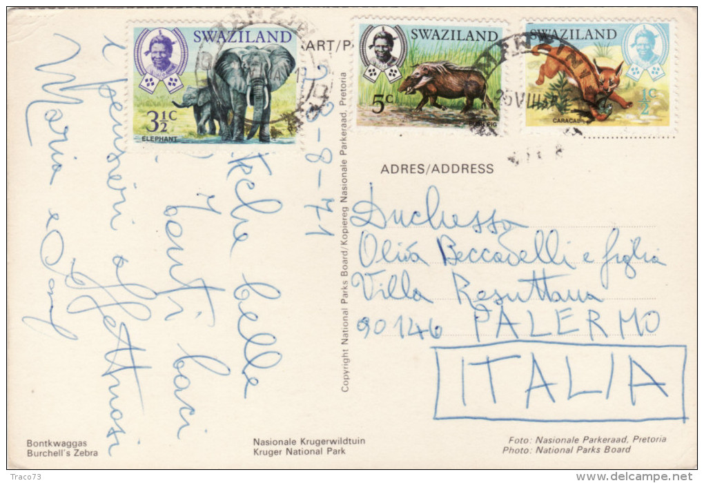 SWAZILAND   /  ITALIA   - Card _ Cartolina - Swaziland (1968-...)