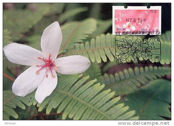 TAIWAN (2009) - Carte Maximum Card - ATM - Tung Blossoms / Flower - 92 - Maximumkaarten