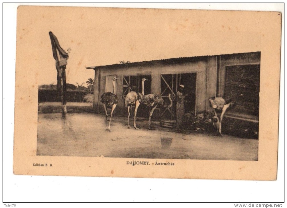 AFRIQUE---DAHOMEY---autruches--voir 2 Scans - Dahomey