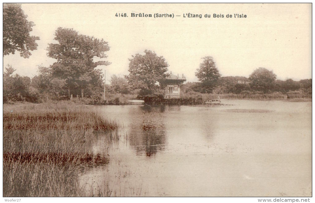 CPA  BRULON   L'étang Du Bois De L'isle   Et Les Environs - Brulon