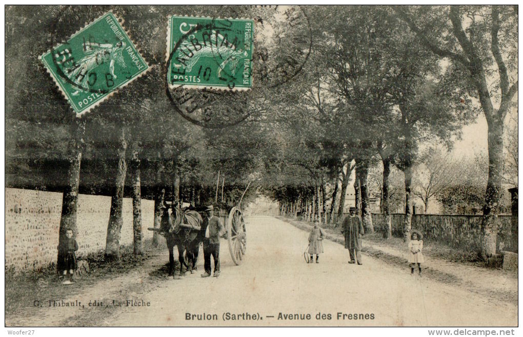 CPA    BRULON    Avenue Des Fresnes ,avec Des Personnes Et Un Attelage - Brulon
