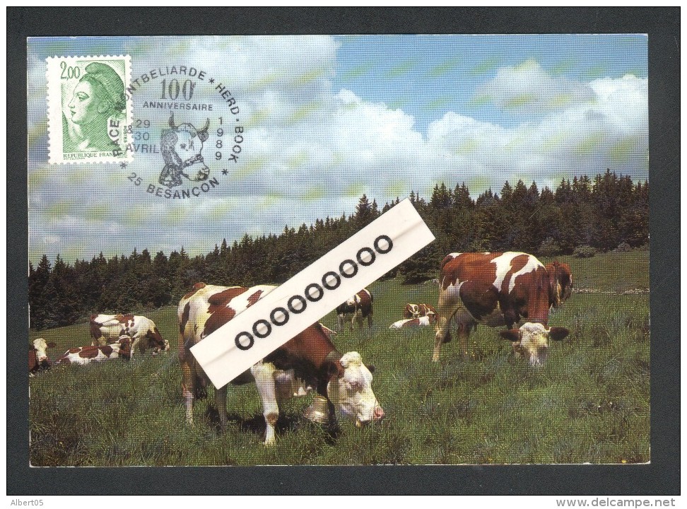 Troupeau De Vaches Montbéliardes - 100 ème Anniversaire Du Herd-Book Besançon 29 Et 30 Avril 1989 - Vaches