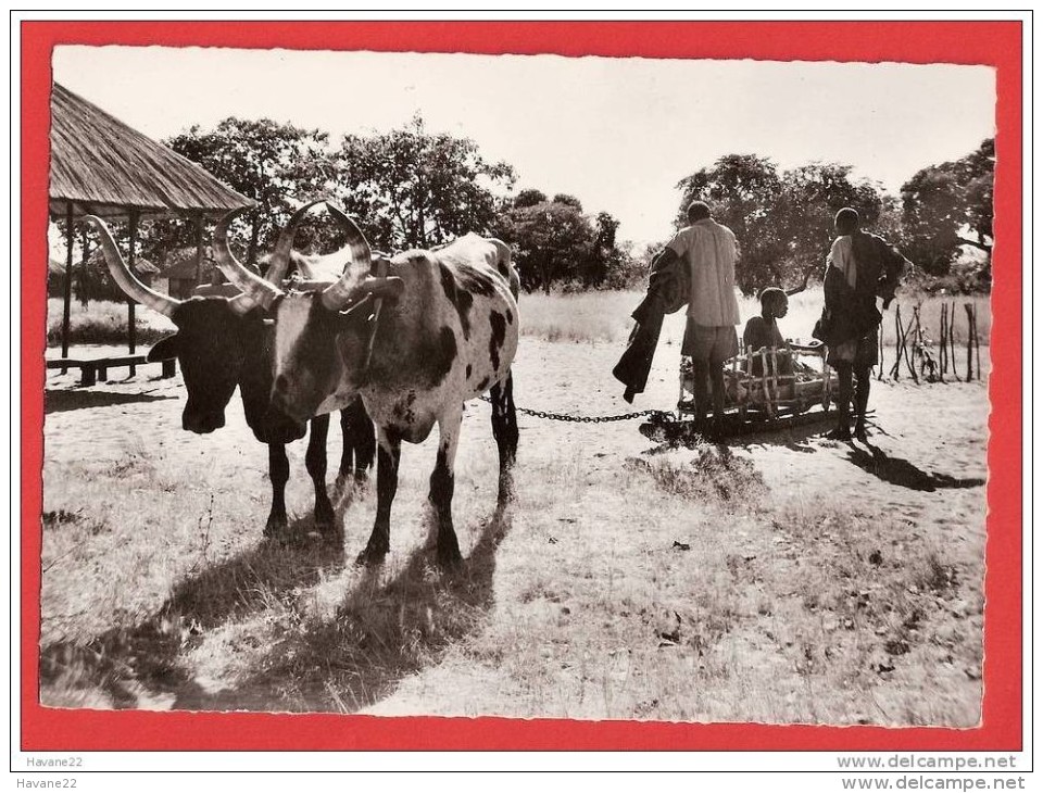 H485 ZAMBEZE UNE AMBULANCE RUSTIQUE - Sambia