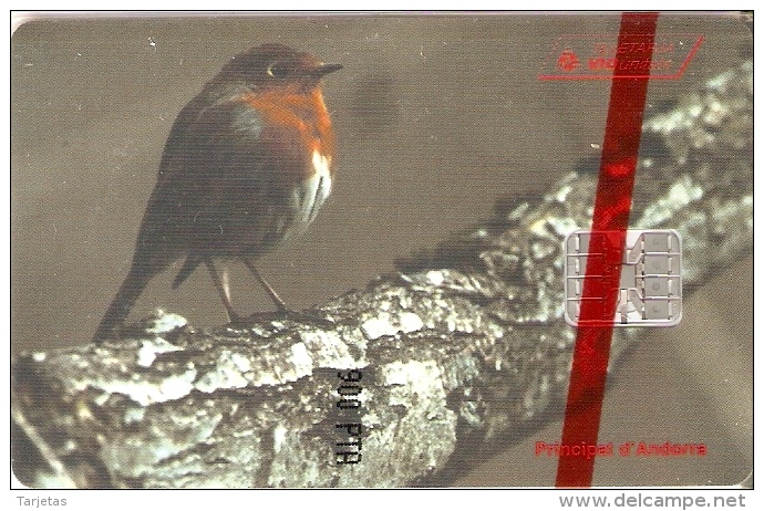 AND-053 TARJETA DE ANDORRA DE UN PETIRROJO (BIRD-PAJARO) NUEVA-MINT CON BLISTER - Andorra