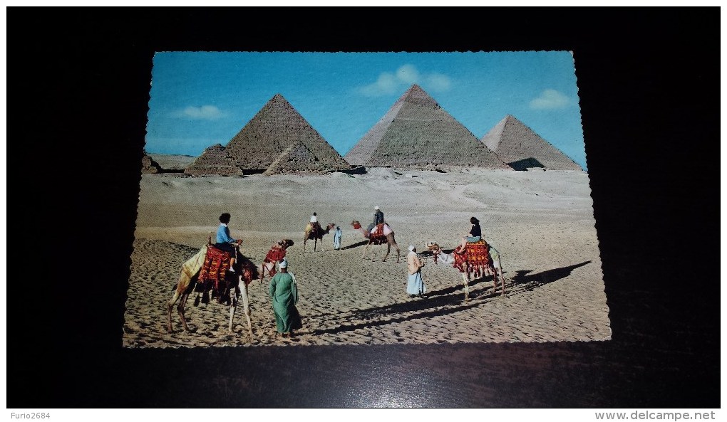 C-18442 CARTOLINA PYRAMIDS OF GIZA - PIRAMIDI CAMMELLI - Gizeh