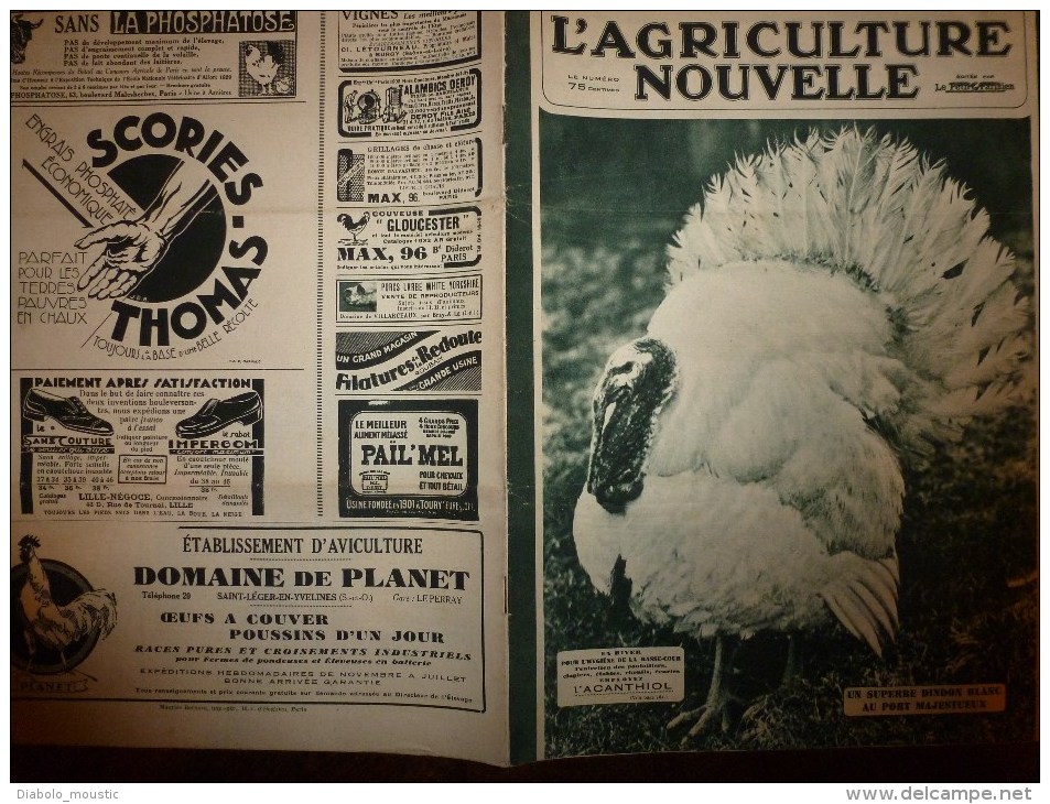 1932 L´AGRICULTURE NOUVELLE : Moteurs Semi-Diesel,Diesel Et Super-Diesel ;En NORVEGE;Faire Des Belles Endives; RECETTES - 1900 - 1949