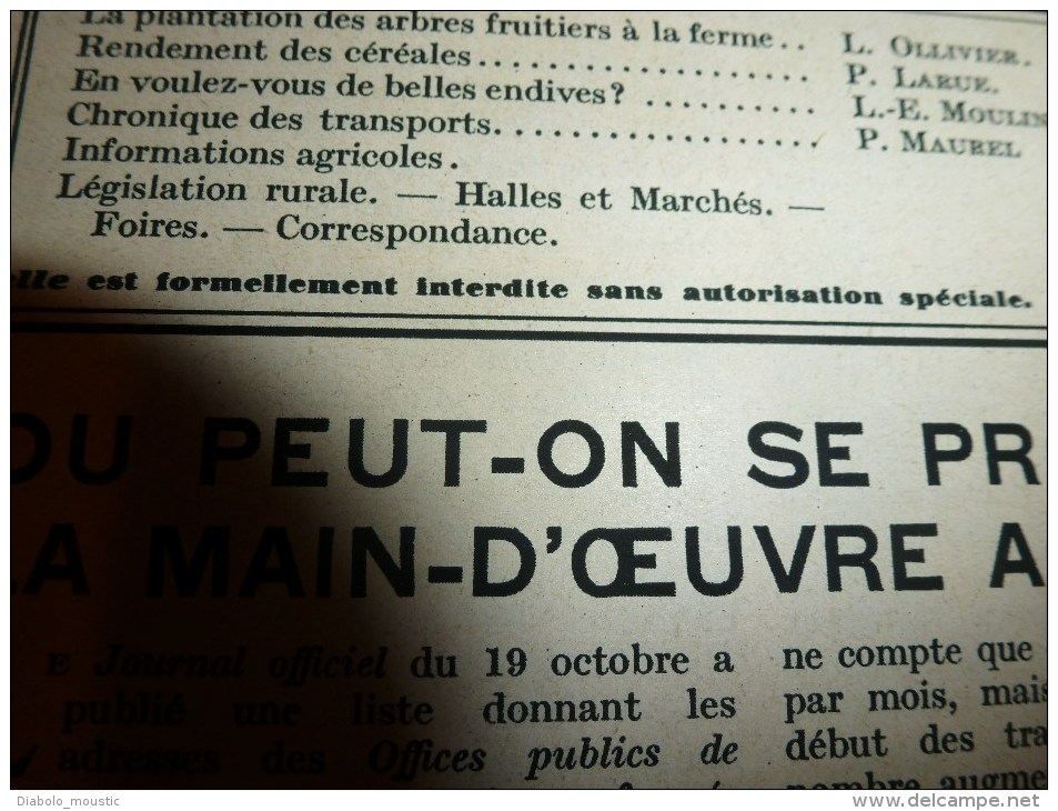 1932 L´AGRICULTURE NOUVELLE : Moteurs Semi-Diesel,Diesel Et Super-Diesel ;En NORVEGE;Faire Des Belles Endives; RECETTES - 1900 - 1949