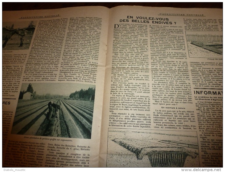 1932 L´AGRICULTURE NOUVELLE : Moteurs Semi-Diesel,Diesel Et Super-Diesel ;En NORVEGE;Faire Des Belles Endives; RECETTES - 1900 - 1949