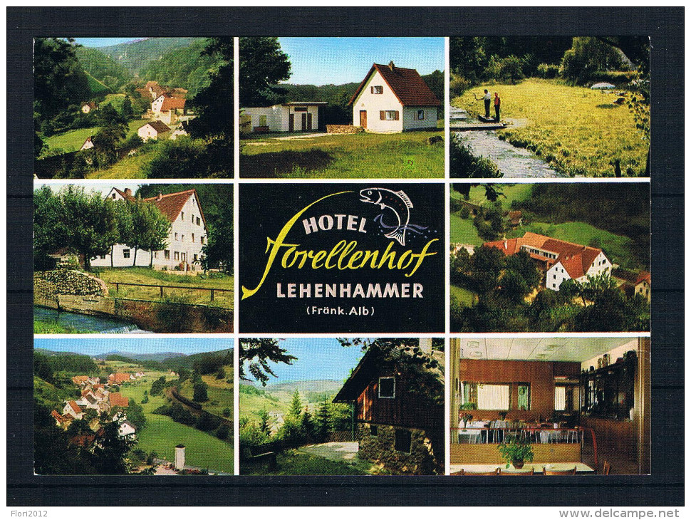 (603) AK Hotel Forellenhof - Lehenhammer Bei Sulzbach-Rosenberg - Sulzbach-Rosenberg