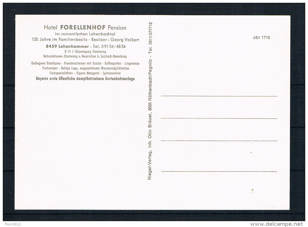 (603) AK Hotel Forellenhof - Lehenhammer Bei Sulzbach-Rosenberg - Sulzbach-Rosenberg