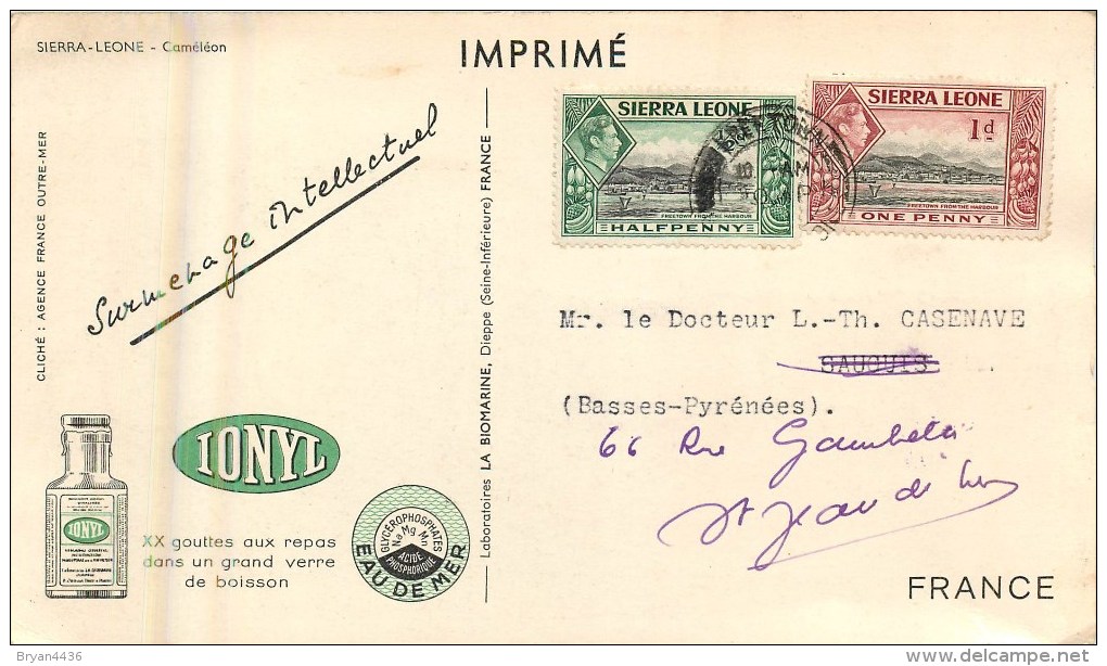 Sierra-Léone - ** Caméléon ** - Cp Voyagée En 1952 - Format (10 X 18 Cm) - Voir 2 Scans. - Sierra Leone