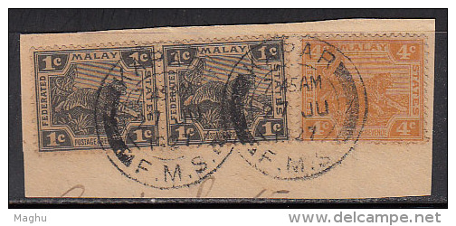 Federated Malay States Used On Piece, Postmark, Malaya, - Federated Malay States