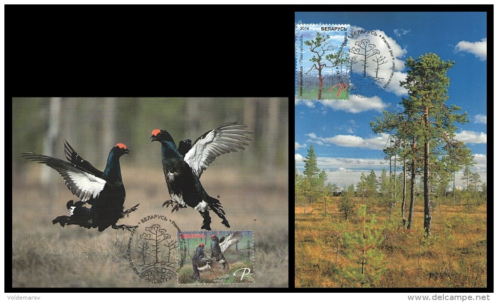 Maxicard Belarus 2014 Mih. 1017/18 Flora And Fauna. Biotopes Of Belarus. Bogs (2 Maxicards) - Wit-Rusland