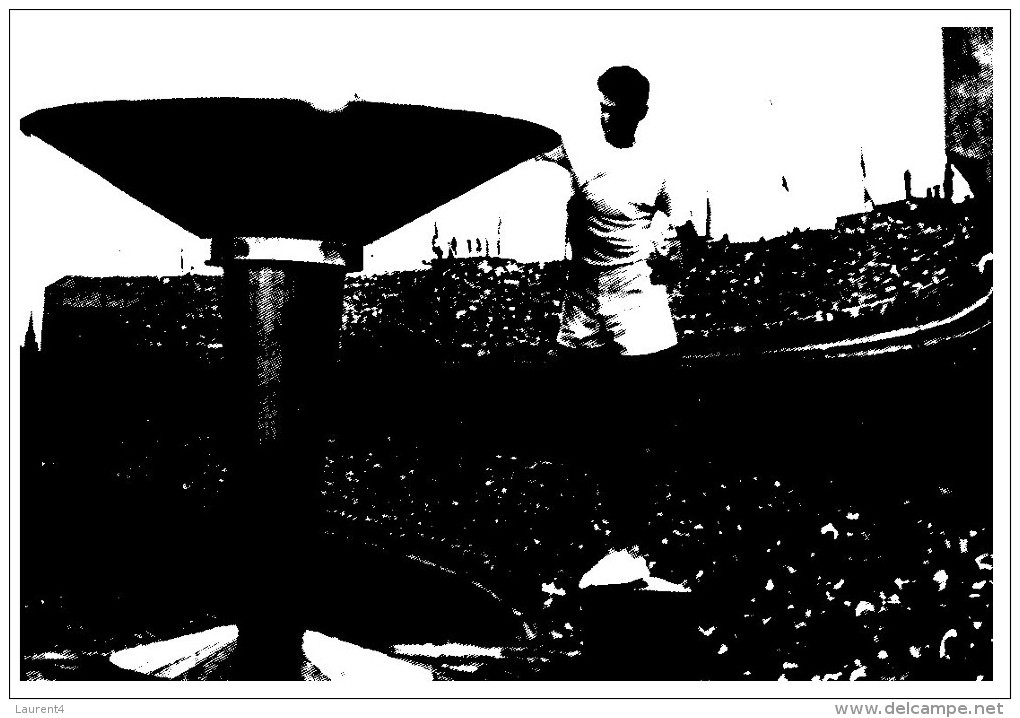 (14) Australia - Reproduction Postcard - Ron Clarke (Melbourne Olympic Games FLame Lighthing) - Personalità Sportive