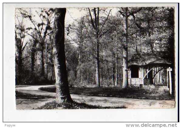 Verneuil Sur Seine Promenade En Foret - Verneuil Sur Seine