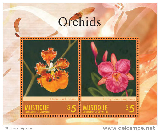 Mustique Grenadines Of St. Vincent-2014-Orchids - St.Vincent E Grenadine