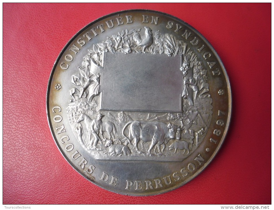 MEDAILLE ARGENT 121 Grammes 69 Mm De 1897 Société D'Agriculture, De Viticulture Et D' Horticulture De PERRUSSON (dpt 37) - Professionnels / De Société