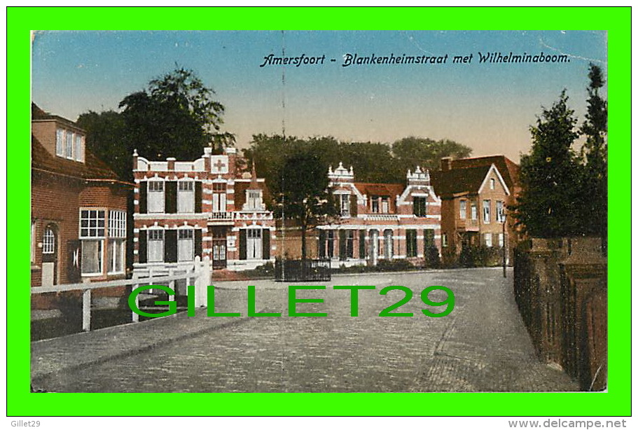 AMERSFOORT, NETHERLAND - BLANKENHEIMSTAAT MET WILHELMINABOOM - ANIMATED - UITGAVE, P. J. W. - - Amersfoort