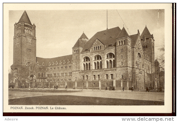 POZNAN Posen, Zamek, Le Chateau, Nicht Gelaufen Um 1920 - Polen