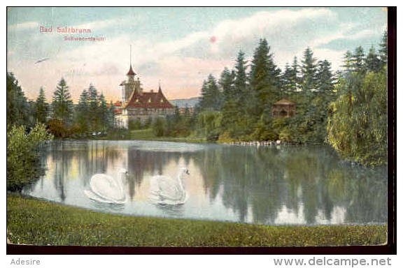 Schlesien, BAD SALZBRUNN, Schwedenteich, Gel.1910 - Schlesien