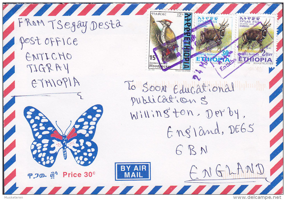 Ethiopia Airmail Purple Boxed ENTICHO Cover Brief Bird Vogel Oisaux Menelik Bock Schmetterling Butterfly Papillon Cachet - Ethiopia