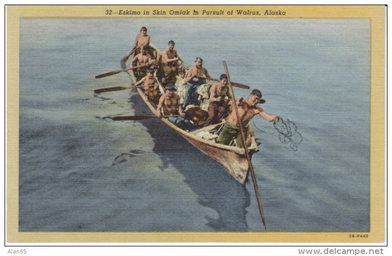 Alaska Eskimos Native American Hunt Walrus In Omiak Long Boat, C1940s Vintage Linen Postcard - Native Americans