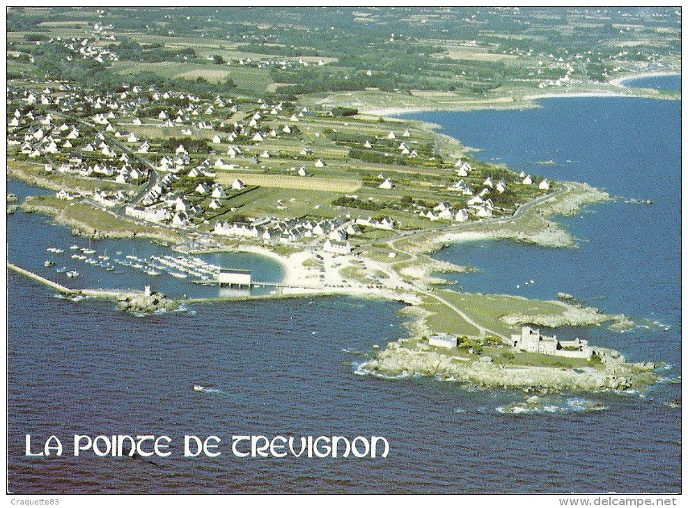 TREGUNC  -LA POINTE ET LE PORT DE TREVIGNON   VUE AERIENNE  CPSM - Trégunc