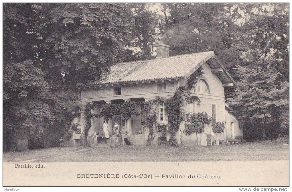 BRETENIERE ( 21 ) Pavillon Du Château - Autres & Non Classés