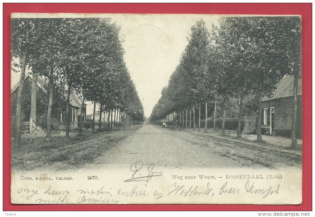 Roosendaal - Weg Naar Wouw - 1905 ( Verso Zien ) - Roosendaal