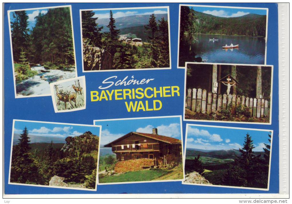Schöner BAYERISCHER WALD, Mehrbildkarte, Gel. V. Zwiesel - Zwiesel