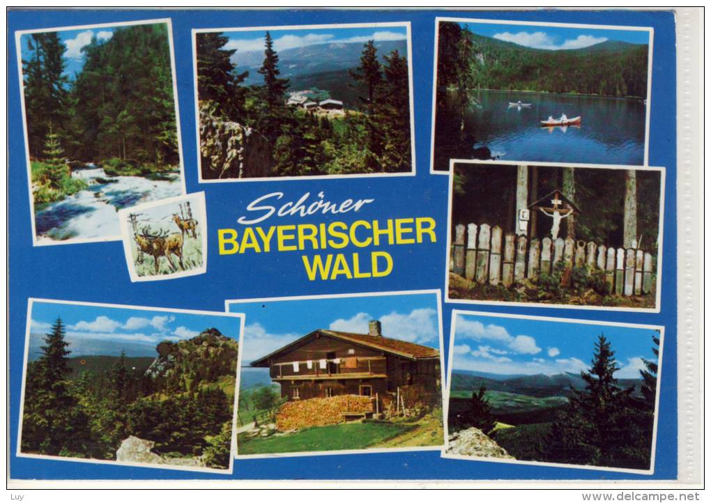 Schöner BAYERISCHER WALD - Mehrbildkarte , M. Marke EUROPA CEPT; Nice Stamp - Zwiesel