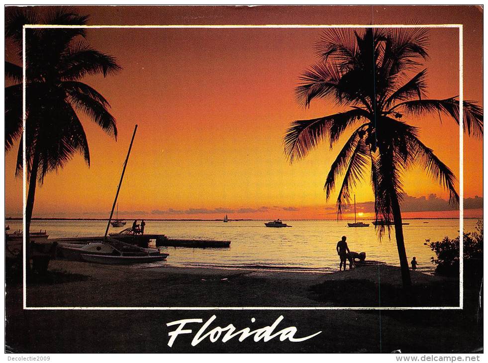BF36371 Florida Tranquil Palms And Beautiful Beaches  USA  Front/back Scan - Palm Beach