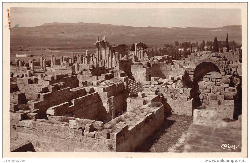 BF35694 Tebessa Ruines De La Basilique Vue Generale   Algeria  Front/back Scan - Tebessa