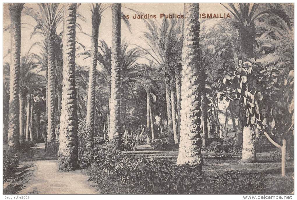 BF35755 Les Jardins Public  Ismailia Egypt  Front/back Scan - Ismailia