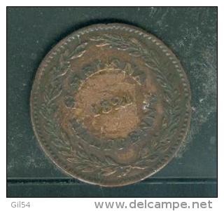 SAINTE Helène - Half Penny 1821  Pia7303 - Sainte-Hélène