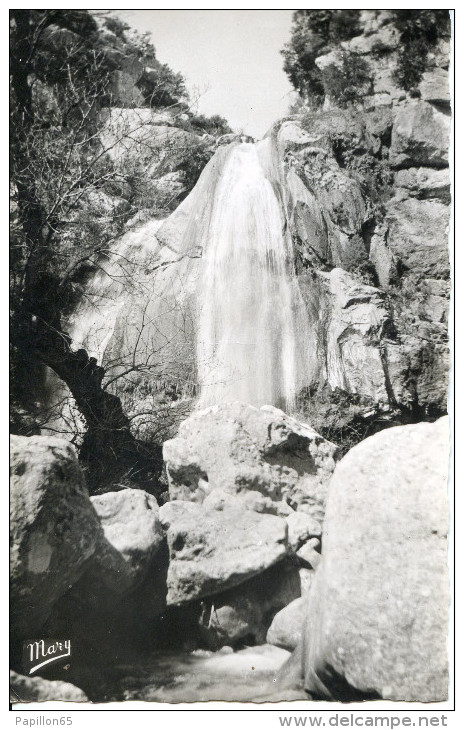 (83 VAR)  SIGNES   Gorges De Leygues   (LATAYI)  Une Cascade - Signes