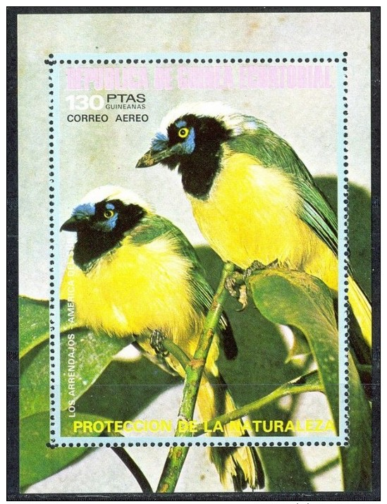 K220 FAUNA VOGELS BIRDS OISEAUX VÖGEL AVES GUINEA-ECUATORIAL 1974 PF/MNH - Autres & Non Classés