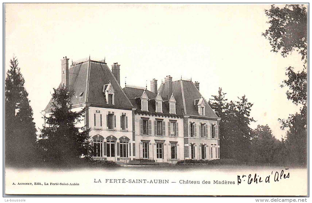 45 LA FERTE SAINT AUBIN - Château Des Madères - La Ferte Saint Aubin