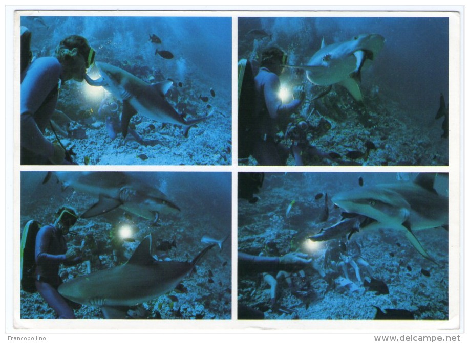 MALDIVES-DIVINGSCHOOL BANDOS FEEDING SHARKS (MICHAEL FRIEDEL No.23/67) / THEMATIC STAMP-DEGAS - Maldives