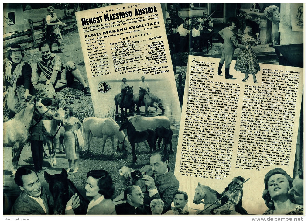 Illustrierte Film-Bühne  -  Hengst Maestoso Austria  -  Mit Gustav Knuth  -  Filmprogramm Nr. 3369 Von 1956 - Zeitschriften