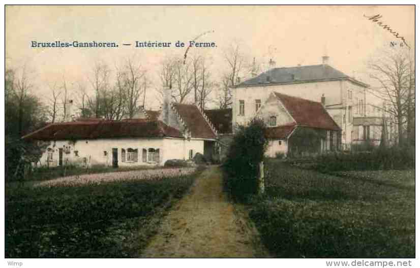 Bruxelles - Gansoren : Intérieur De Ferme - Carte Colorisée !!!! Le Vieux Ganshoren : A VOIR !! - Ganshoren