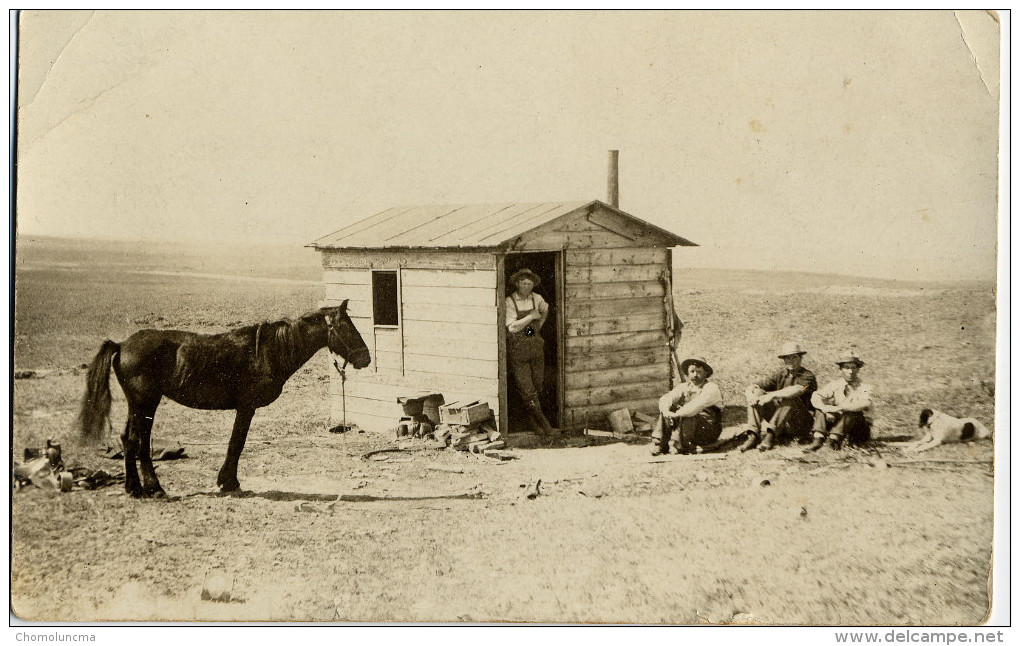 Cabane Cheval Writing On Back Uncle Jim Cabin In Wyoming Horse Dog - Autres & Non Classés