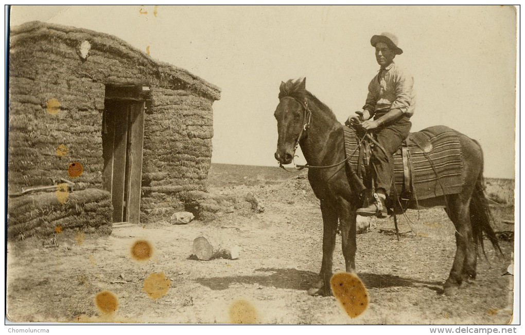 USA 1900's Years Mint Old Post Card Cabane Cheval Writing On Back Uncle Mike Sod Cabin Horse Cavalier Wyoming ? - Autres & Non Classés