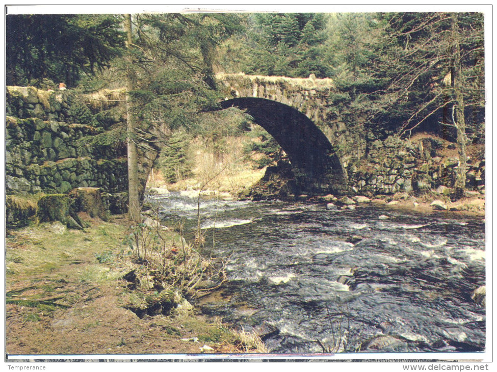 88 GERARDMER Et Son Lac - Le Pont Des Fées - Circulée 1985 - Gerardmer