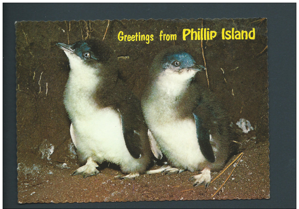 1983 40c Hotchkiss Fire Engine Postcard Phillip Island Penguins AUSTRALIA To USA - Other & Unclassified