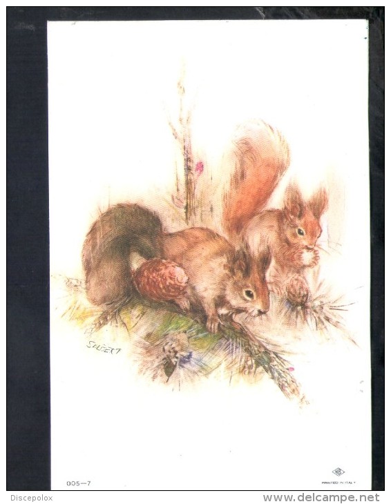 J394 Salbert (Illustrator Of Barbie ) Illustrazione, Illustration - Scoiattoli _ Squirrels _ écureuils - Altri & Non Classificati