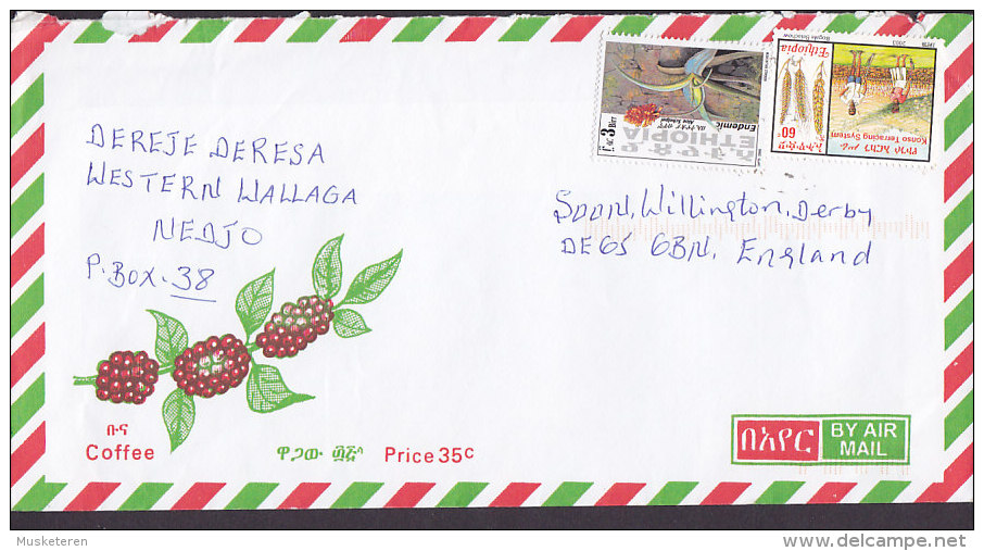 Ethiopia Airmail NEDJO  2006 Cover Lettre England Plant Flower Aloe Schepei Terracing System Coffee Kaffee Cafe Cachet - Äthiopien