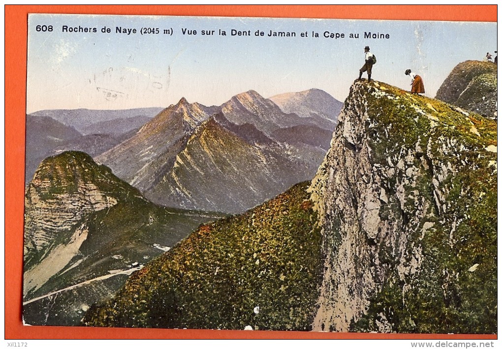 BSD-25 Rochers De Naye Vue Sur Le Dent De Jaman Et Cape Au Moine. ANIME.  Cachet 1924 Pour La Tour-de-Pelz - Roche