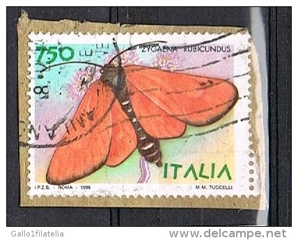 1996 - ITALIA - FARFALLA - USATO SU FRAMMENTO DI CARTA. - 1991-00: Used