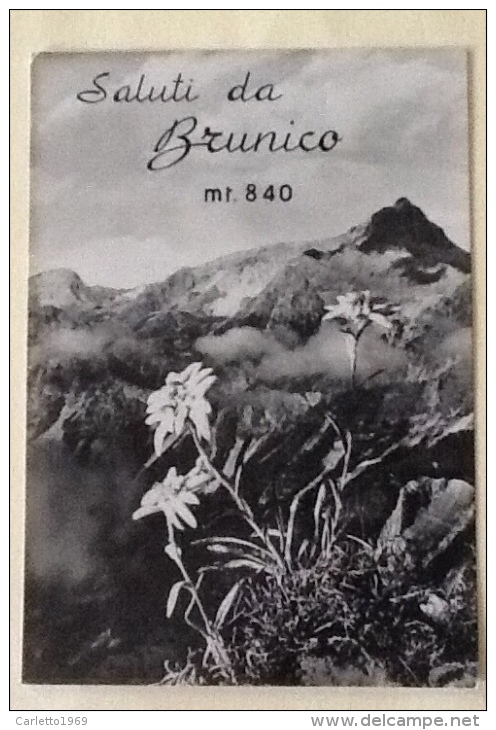 Saluti Da Brunico Viaggiata - Bolzano (Bozen)